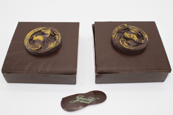 Boite Chimère T2 en chocolat noir garnie