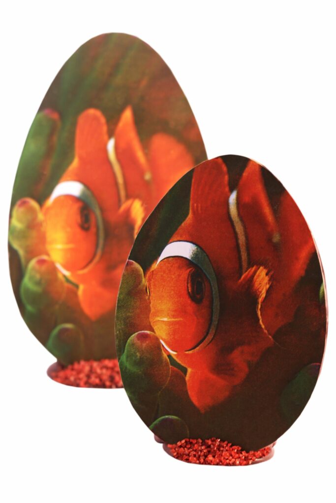 Joséphine Vannier – Chocolaterie d'art