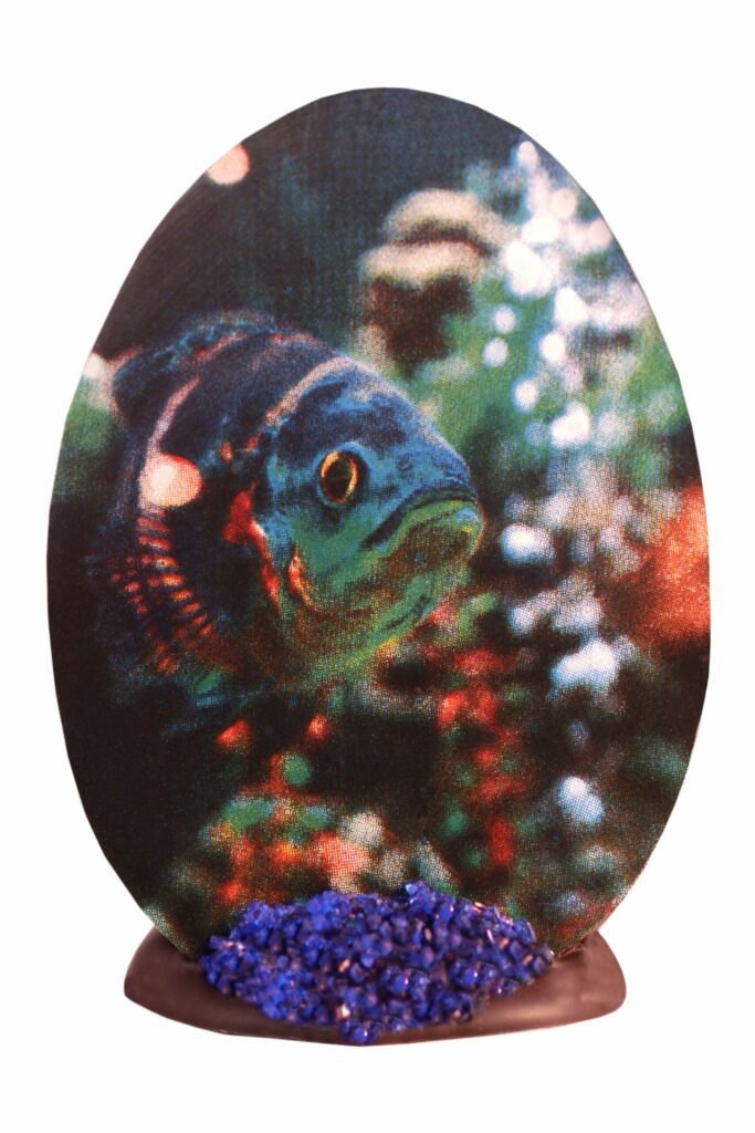 Joséphine Vannier – Chocolaterie d'art