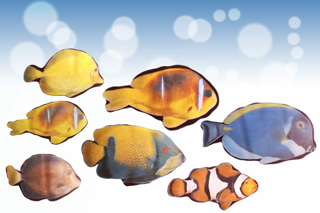 Joséphine Vannier – Chocolaterie d'art