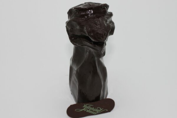 Gargouille moulée en chocolat