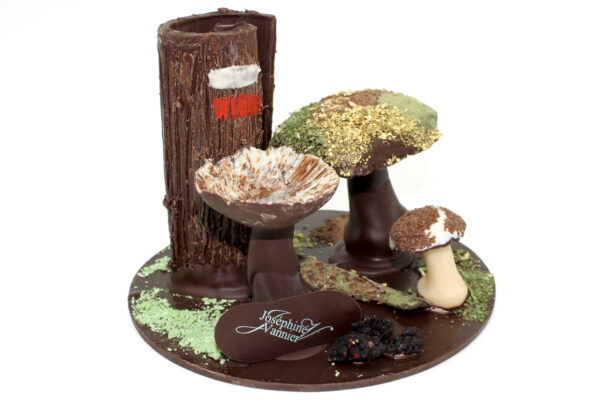 Composition Champignon Automne en chocolat