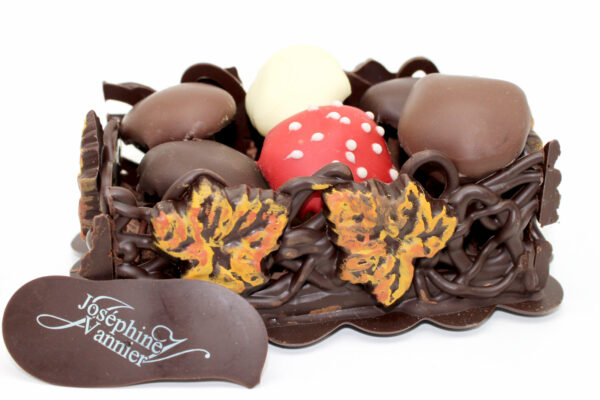 Panier Champignons pralinés en chocolat
