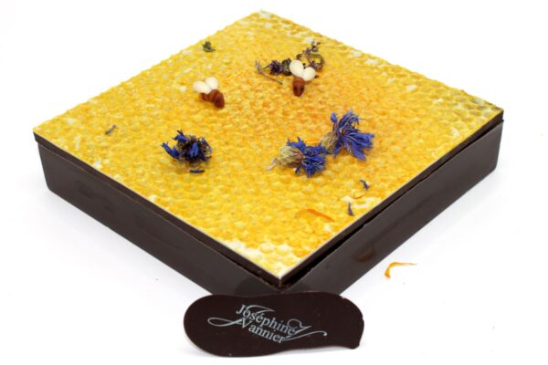 Boite nid d'abeilles garnie en chocolat T3