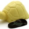 Tortue en chocolat blanc