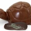 Tortue en chocolat lait