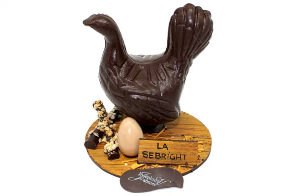 Poule sebright Plancher en chocolat noir garnie T2