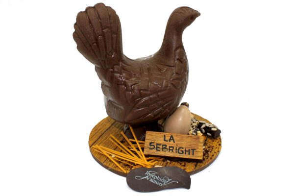 Poule sebright Plancher en chocolat au lait garnie T2