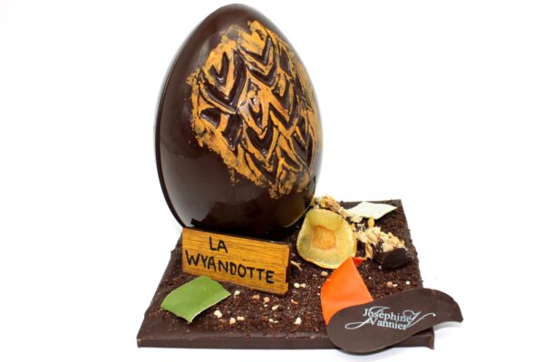 Composition Wyandotte en chocolat noir garni T2
