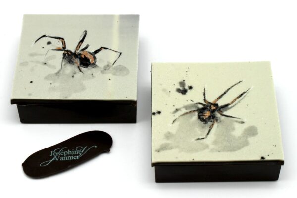 Boite Araignée T1 Garnie en Chocolat