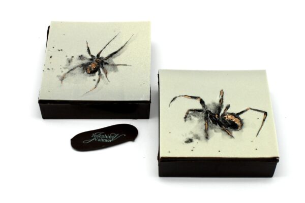 Boite Araignée T2 Garnie en Chocolat