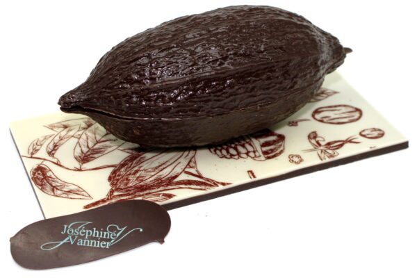 Cabosse sur plaque Garnie en Chocolat