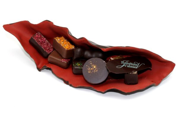 Kokille T2 Garnie en Chocolat
