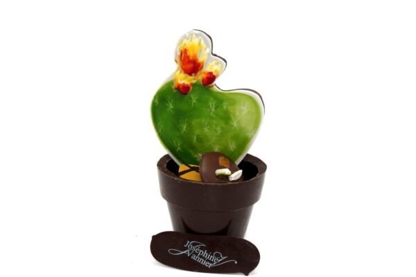 Cactus en chocolat garni