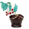 Framboisier en chocolat garni