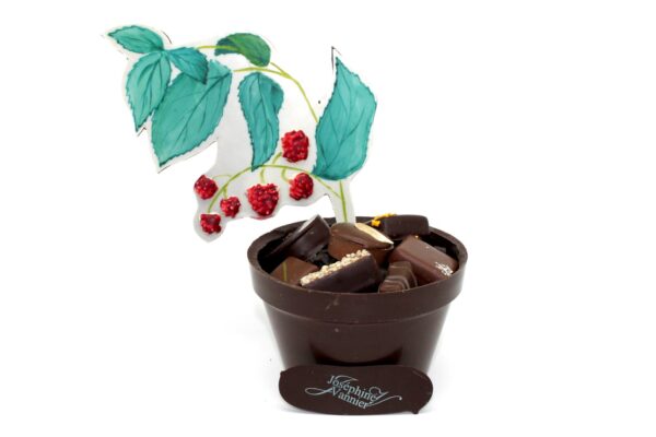 Framboisier en chocolat garni