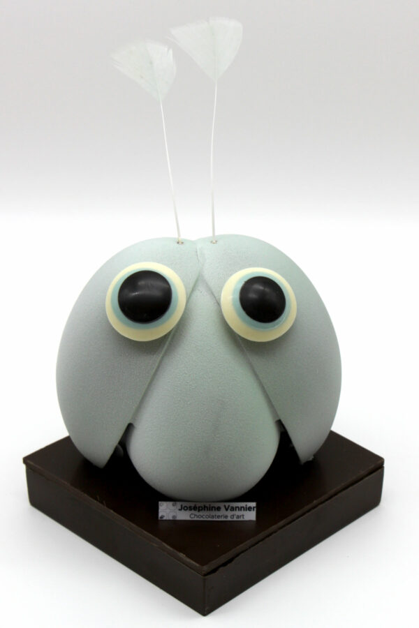 Gentil Monstre T3 en chocolat noir garni