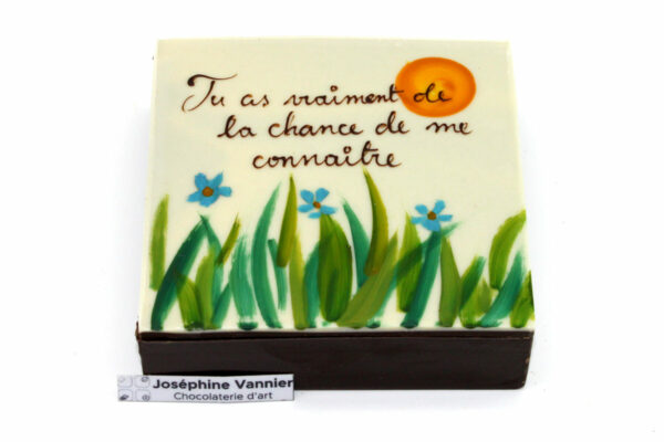 Boite Tu as vraiment de la chance de me connaitre Garnie en Chocolat