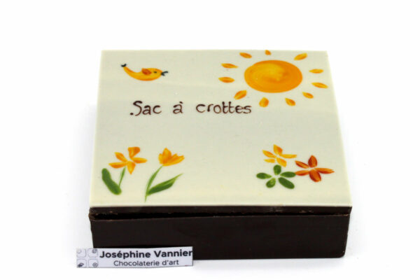 Boite Sac à crottes Garnie en Chocolat