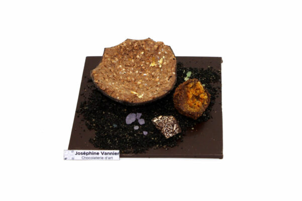 Fragments T3 en chocolat noir