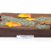 Boite Banc de poissons T2 en chocolat noir garnie