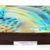 Boite Vagues en chocolat noir garnie