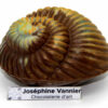 Coquillage en chocolat au lait garni