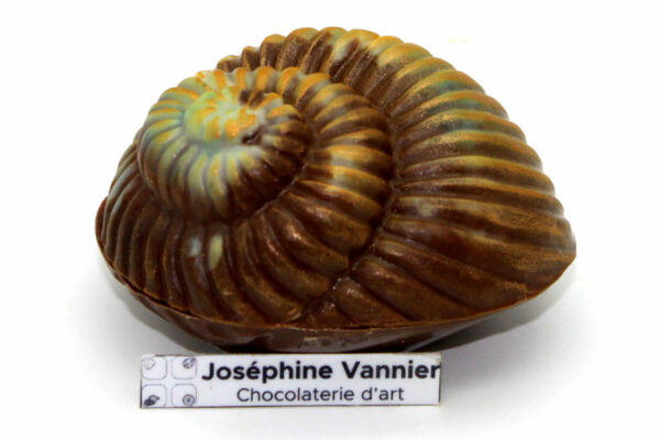 Coquillage en chocolat au lait garni