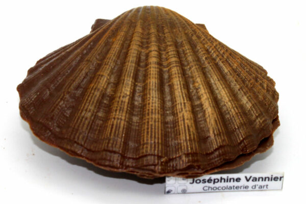 Coquille Saint Jaques en chocolat au lait garnie