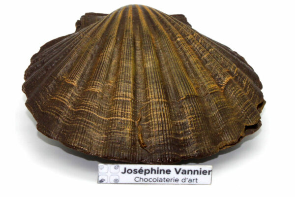 Coquille  Saint Jaques en chocolat noir garnie