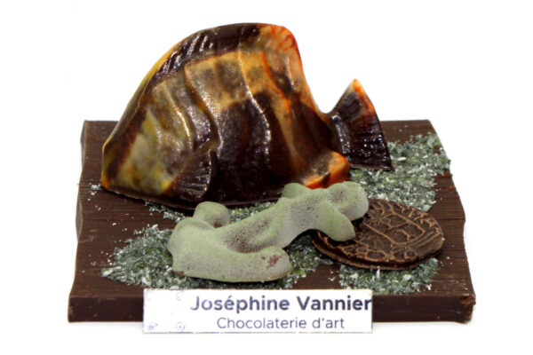Fonds Marins T1 en chocolat noir