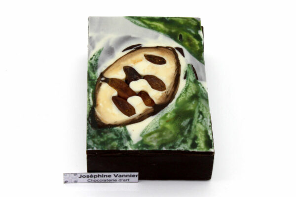 Boîte Cabosse en Chocolat – Fèves Incrustées Garnie