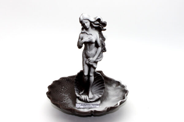 Fontaine enneigée T3 en chocolat noir