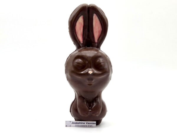 Skouiky le lapin de Stan Manoukian en chocolat au lait 42% garnie