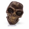 MASQUE TÊTE DE MORT en Chocolat Noir 72%