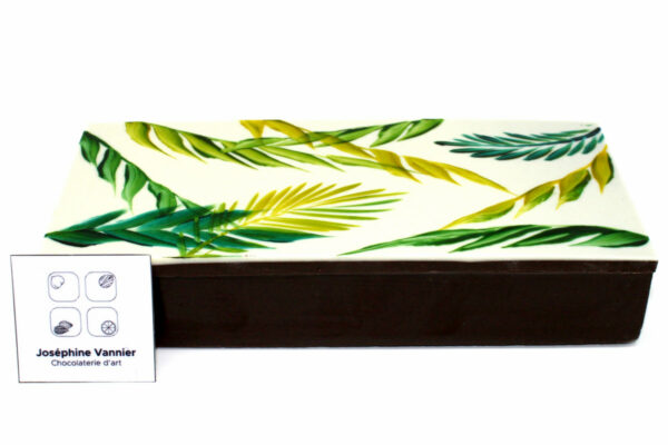 Boite Tropicale T2 Garnie en Chocolat
