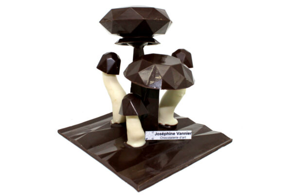 Champi Facettes sur plaque T3 en Chocolat